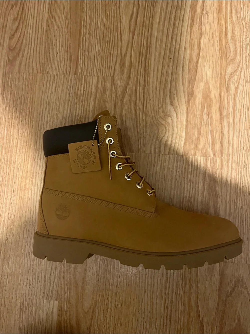 Timberland Men's Classic 6-Inch Boot in Wheat/Black Collar